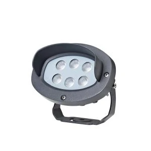 18W Rose Flood Light